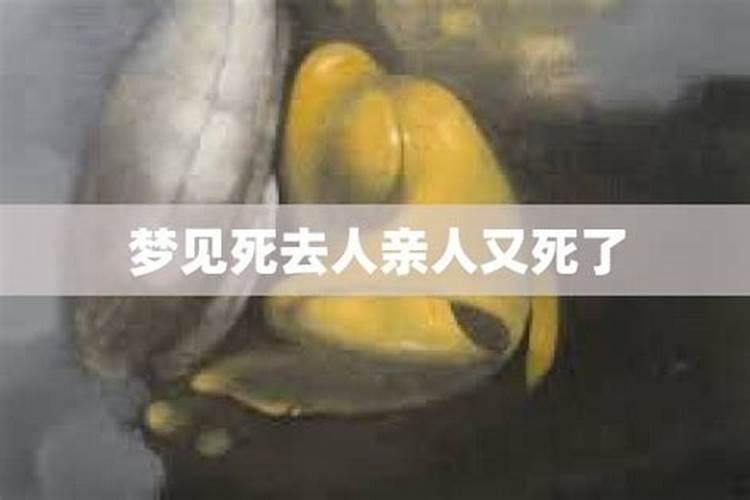 梦见死去的人又死了是什么意思周公解梦