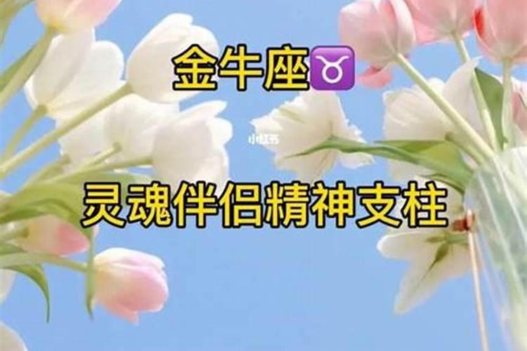 金牛座的灵魂默契是什么