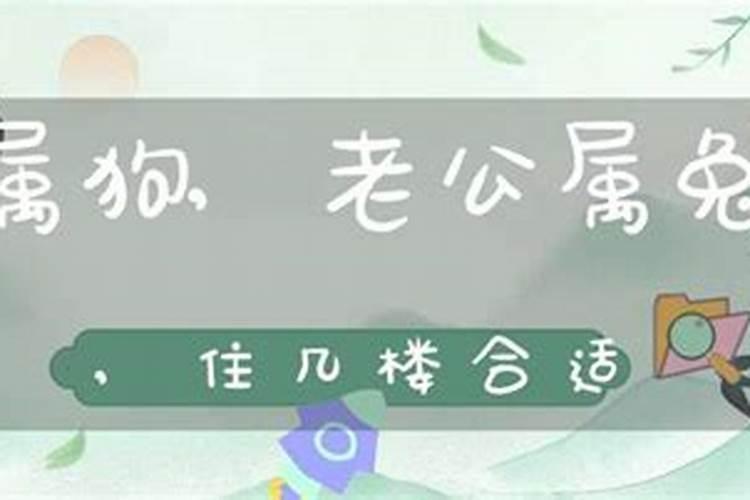 2006属狗适合住几楼吉利