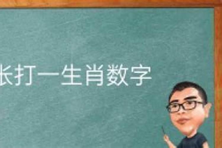 影打一数字生肖