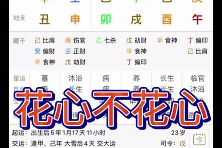 八字是哪些信息看出花心