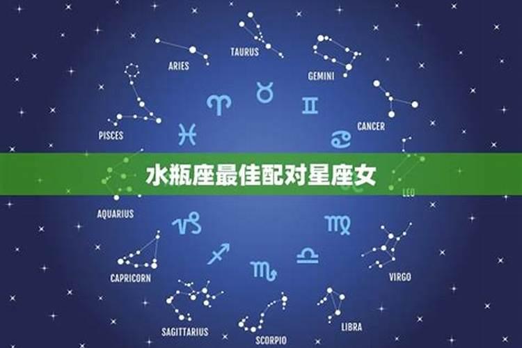 和水瓶最搭的星座