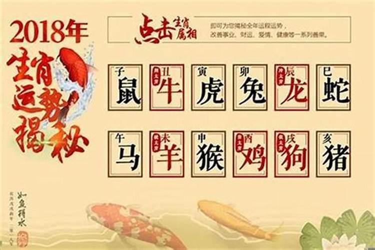 属兔的今年财运如何2021