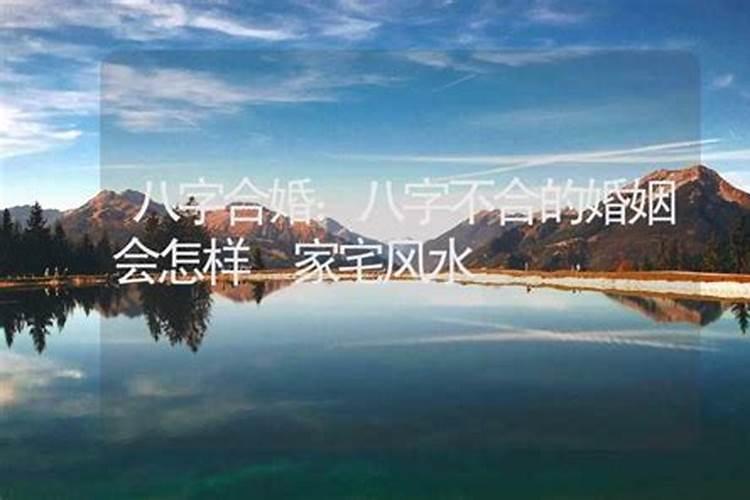 阴阳师八字不合