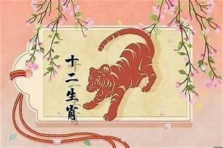 属虎的今年本命年