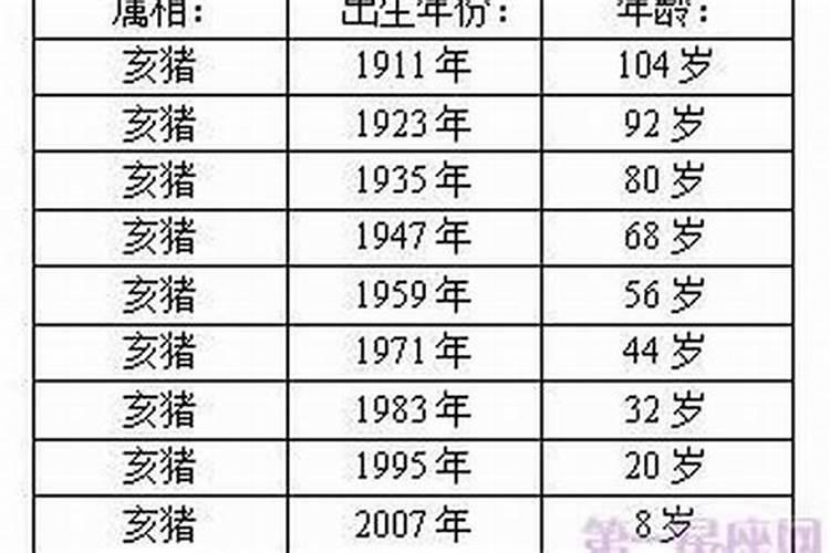 野外单挑的生肖有哪些