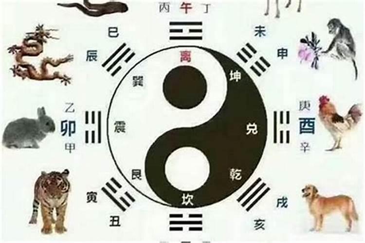 属蛇年属什么生肖