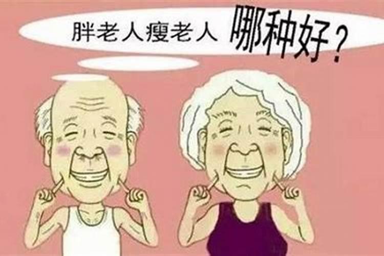 生肖兔越胖运势运好吗