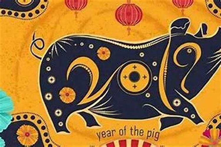 属猪今年贵人属相是什么