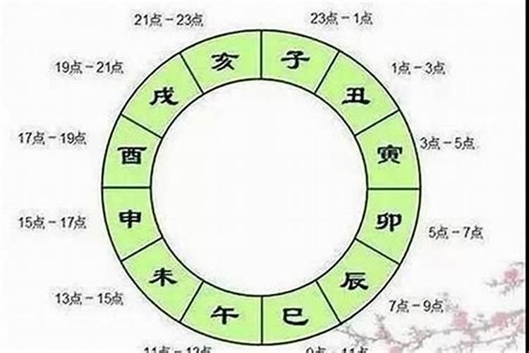 蛇冲猪开什么生肖最好2019年9月17号晚上开什么