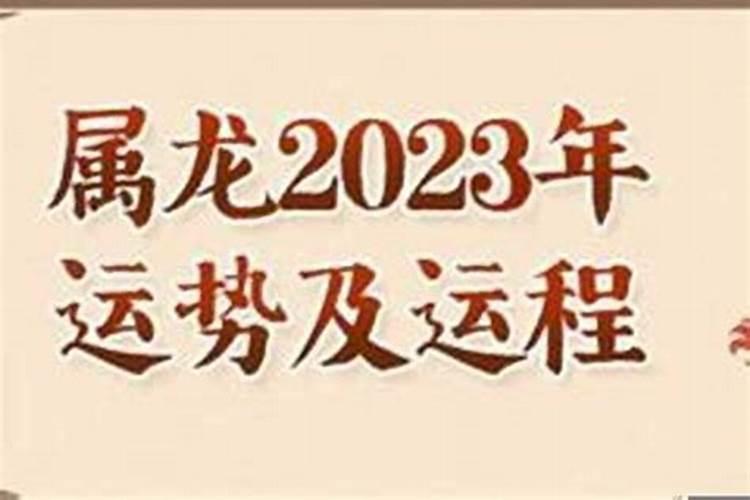 属蛇女的2023年运势