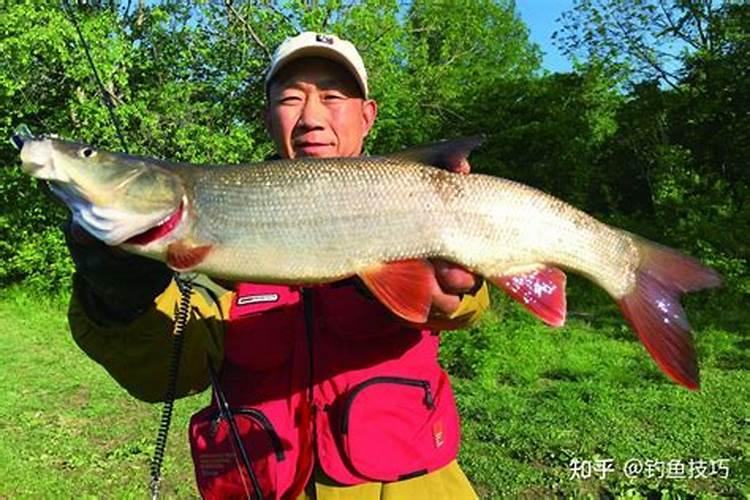 梦见别人钓鱼钓到大鲤鱼什么意思