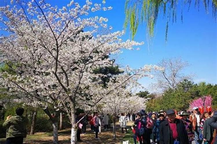 北京清明节去哪里玩比较好山区