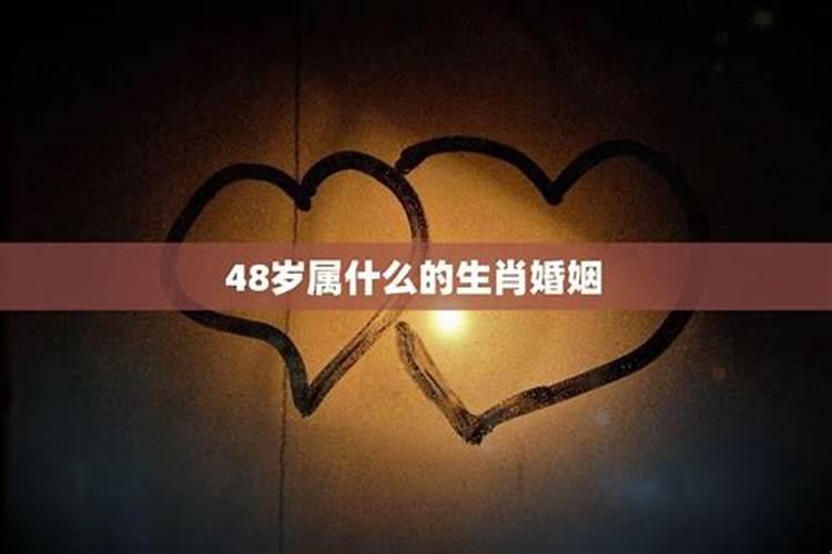 48岁的生肖是什么生肖