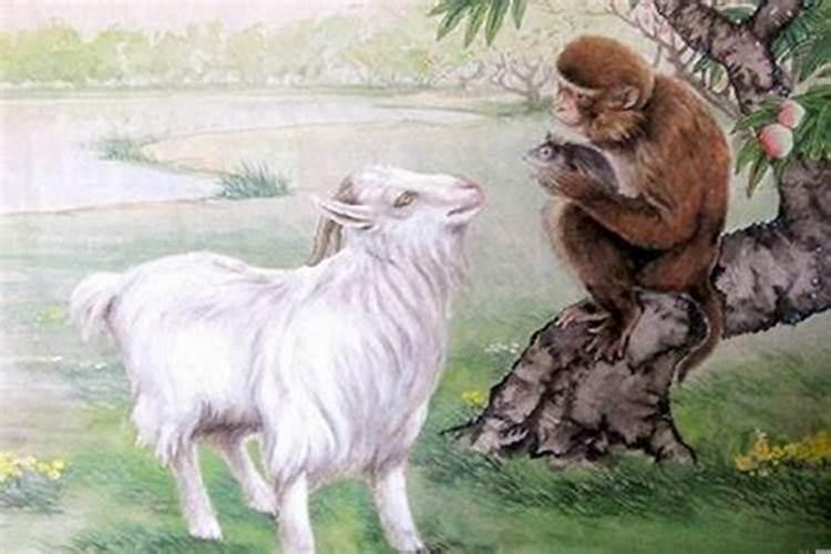 羊男和猴女属相能配夫妻吗，属羊男和属猴女相配吗