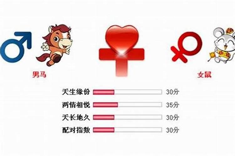 属猪的和马属相合不合财运