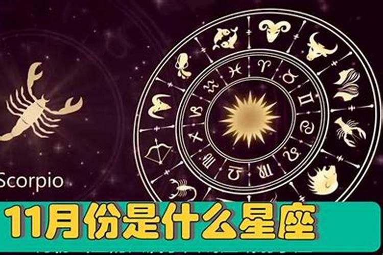 11月份天蝎座运势2020