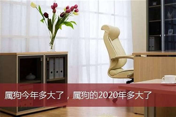 2020年属狗几岁了