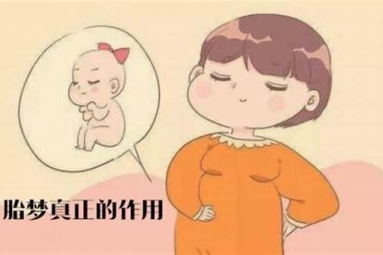 梦见女人乳房是什么意思