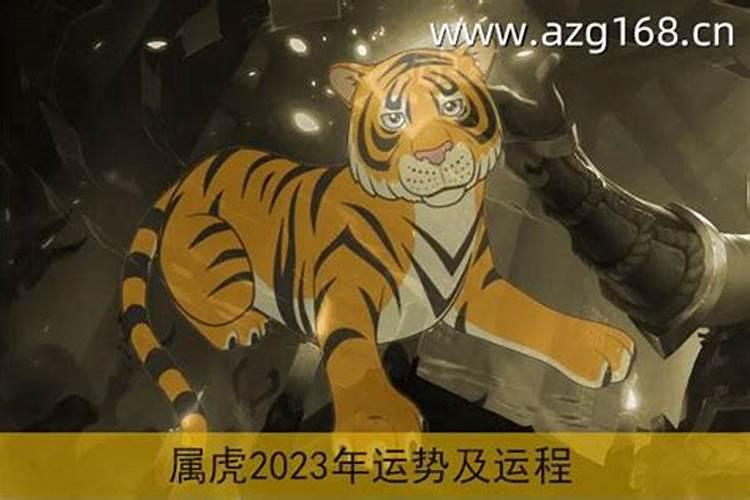 2023虎年运势及运程