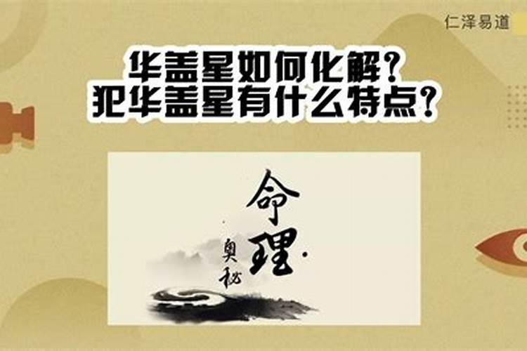 八字十神组合解析