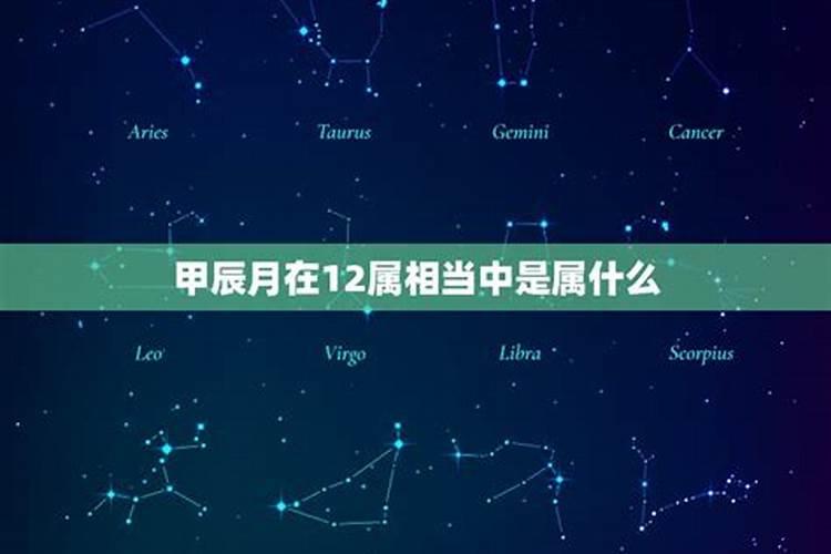 十二星座都是什么属相的