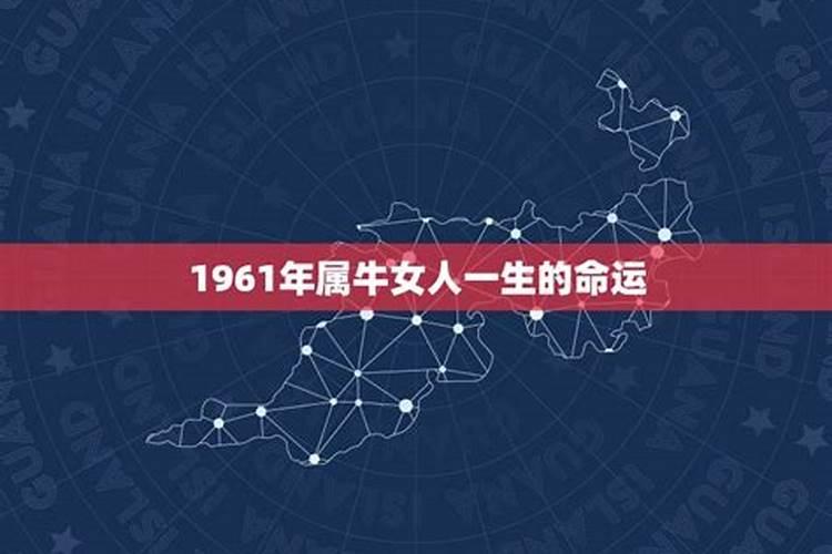 1961年生今年运气怎样呢