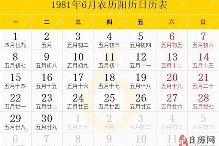 1981年六月初一五行缺什么