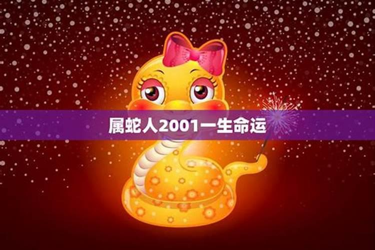 属蛇人2001年什么命