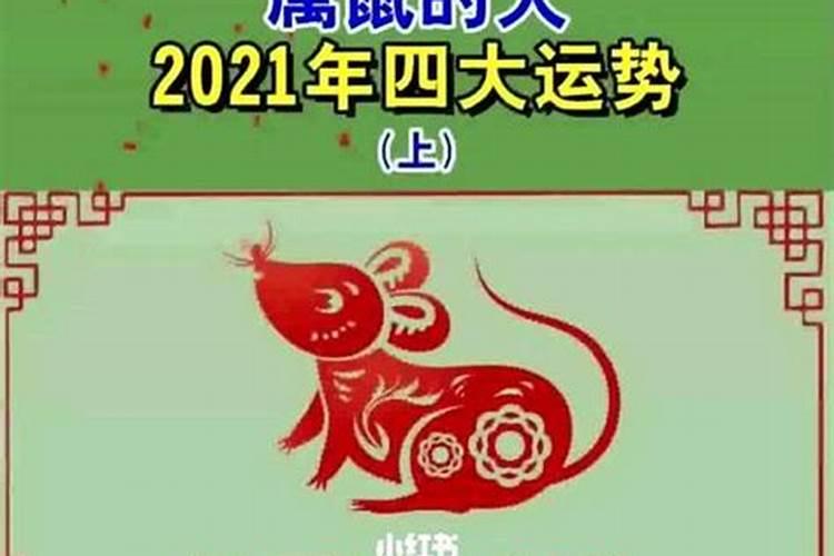 72属鼠的2020年全年运势