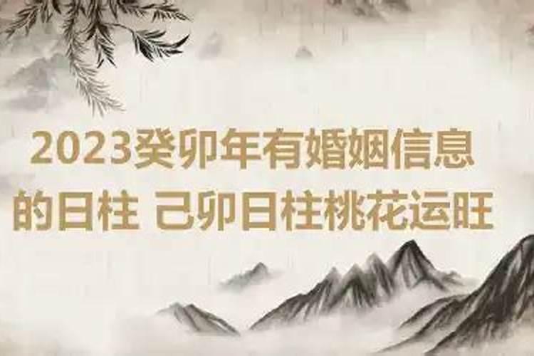 2023年婚姻宫动的八字