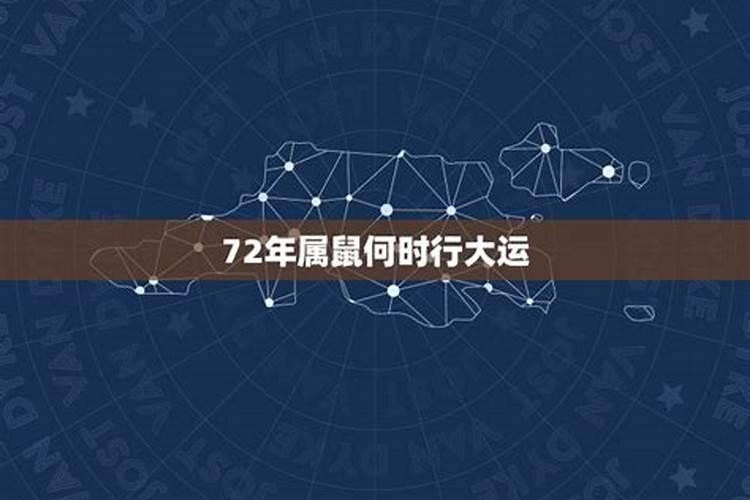 72属鼠人财运