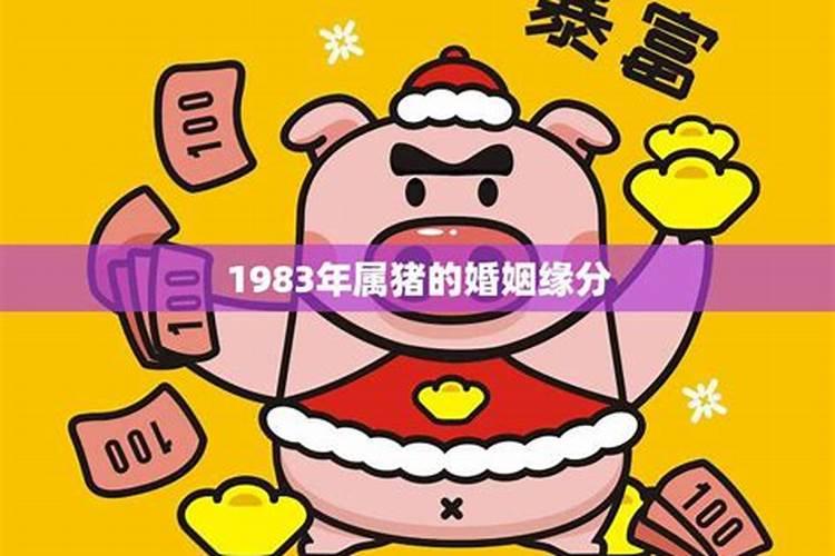 1983年属猪在哪个方向有财