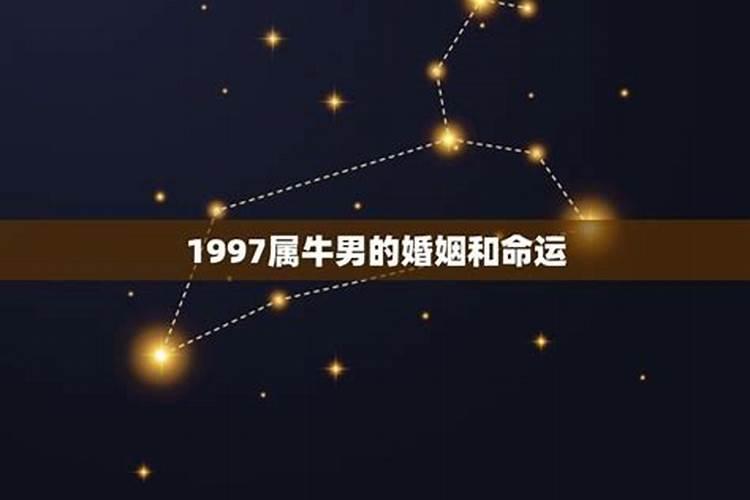 1997年属牛一生的运程男