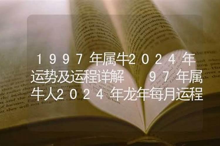 1997属牛人全年运势如何