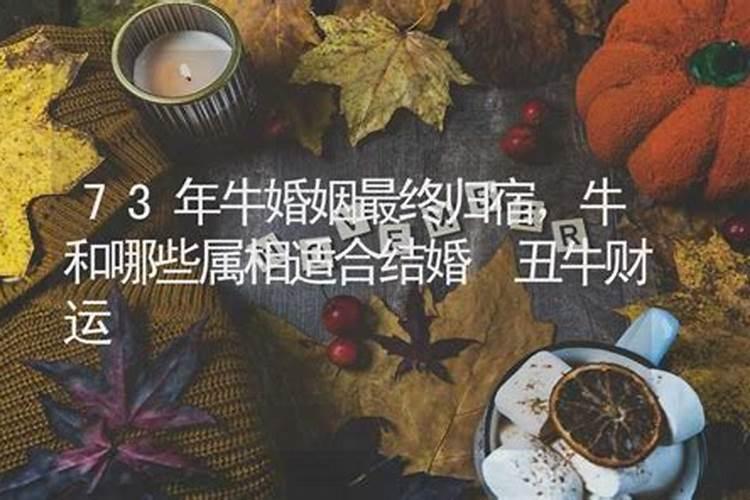 70年的狗和73年的牛婚配好不好