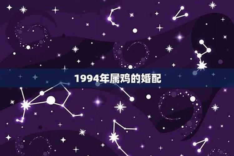 1994年鸡婚配