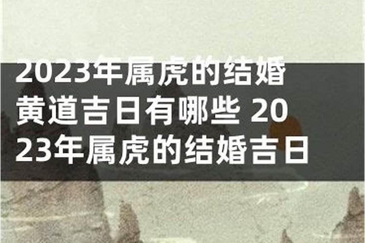 属虎的2023年结婚吉日