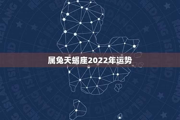 属兔天蝎座2022年运势详解