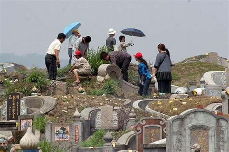 清明节不能回乡祭扫