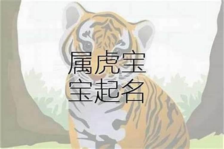 属虎起什么小名好听男孩名字