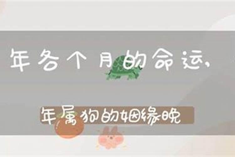 属狗每个月份的命运