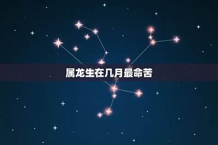 属龙最命苦的出生月份