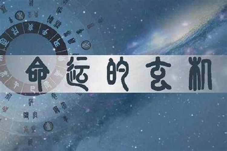 命理有官运