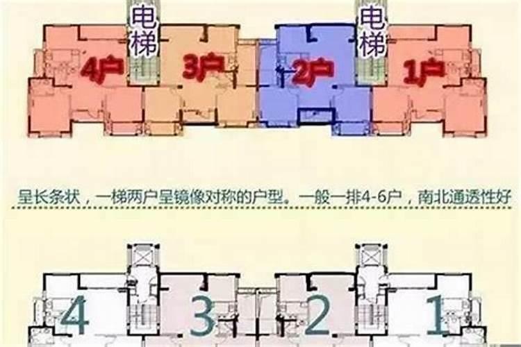 命里有官运是什么意思