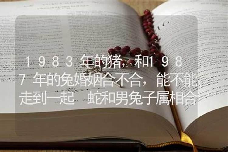 两个属兔的人适合做夫妻吗1999年9月初4出生八字