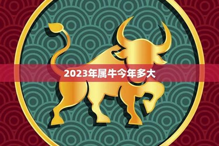 2021属牛的今年多大年龄