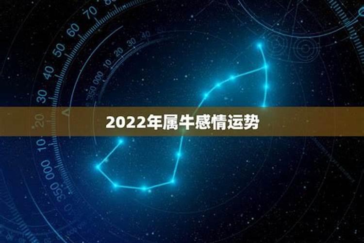 1973属牛女在2021年感情如何