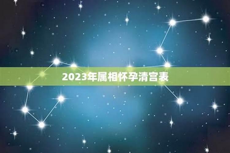 2023年有怀孕的属相