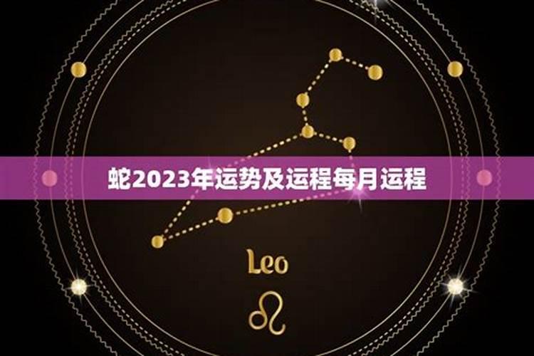 生肖蛇2023年运势及每月运势